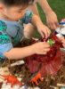 Picture of Messy Play