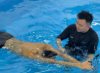 Picture of Swimming Class