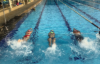 Picture of Swim Foundation Class