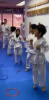 Picture of Karate Class