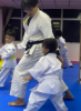 Picture of Karate Class
