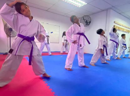Picture of Karate Class