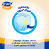 Picture of (Sample) DryPantz Baby Diapers