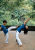 Picture of Capoeira Brazilian Martial Art Class