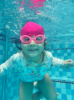 Picture of Guppies Swimming Class
