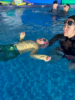 Picture of Dolphins Swimming Class
