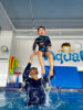 Picture of Dolphins Swimming Class