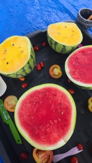 Picture of Messy Play-Time: Fruit & Veggie Putrajaya Edition