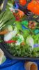 Picture of Messy Play-Time: Fruit & Veggie Putrajaya Edition