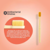 Picture of DentiBiome Kids Oral Care Travel Kit