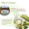 Picture of Pocket Insect Repellent (40ml)