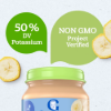 Picture of Organic  Puree 113g