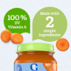 Picture of Organic  Puree 113g