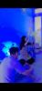 Picture of Dandylion Sensory Classes