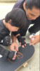 Picture of Trial Skateboarding Class for Beginners
