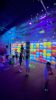 Picture of Glow World