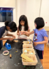 Picture of Mastery: Focus, Confidence & Leadership Skills (7–12 Years)