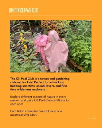 Picture of Cili Padi Club - Plant Discovery