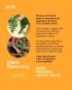 Picture of Cili Padi Club - Plant Discovery