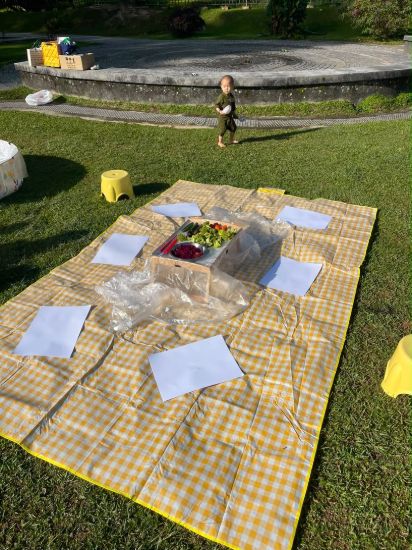 Picture of Fruit & Vegetable Messy Play