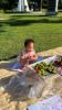 Picture of Fruit & Vegetable Messy Play