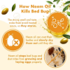 Picture of Naturalle Bed Bug & Mite Spray 100ml