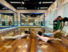 Picture of Ballet Class