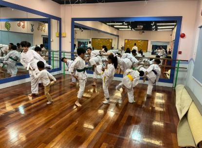 Picture of Karate Class