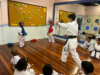 Picture of Karate Class