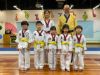 Picture of Taekwondo Class
