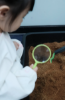Picture of Mud Play