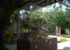 Picture of Jurassic Research Center @ Wet World Pedas