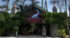 Picture of Jurassic Research Center @ Wet World Pedas