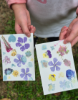 Picture of Petal Print Paper