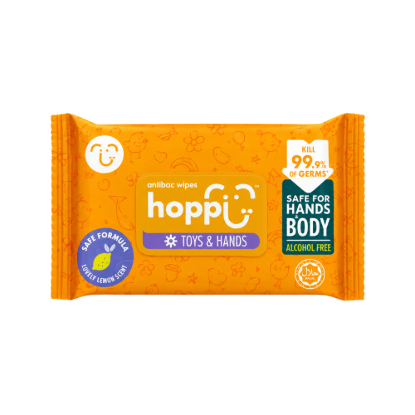Picture of Antibacterial Wipes (20 sheets)