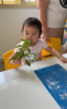 Picture of Little Sprouts (Nature Play)