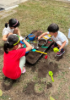 Picture of Little Sprouts (Nature Play)