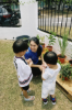 Picture of Little Sprouts (Nature Play)