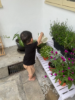 Picture of Little Sprouts (Nature Play)