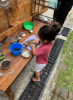 Picture of Little Sprouts (Nature Play)