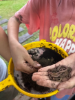 Picture of Little Wildings (Nature Play)