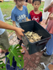 Picture of Little Wildings (Nature Play)
