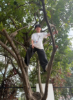 Picture of Little Wildings (Nature Play)