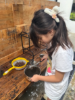 Picture of Little Wildings (Nature Play)