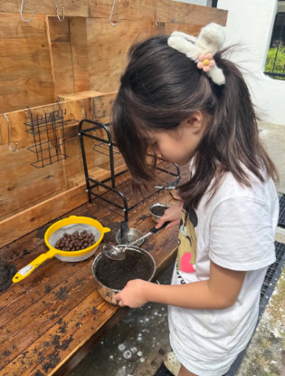Picture of Little Wildings (Nature Play)