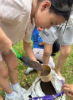 Picture of Little Wildings (Nature Play)