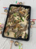 Picture of Dino Messy Play